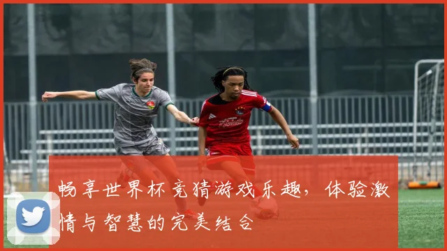 畅享世界杯竞猜游戏乐趣，体验激情与智慧的完美结合