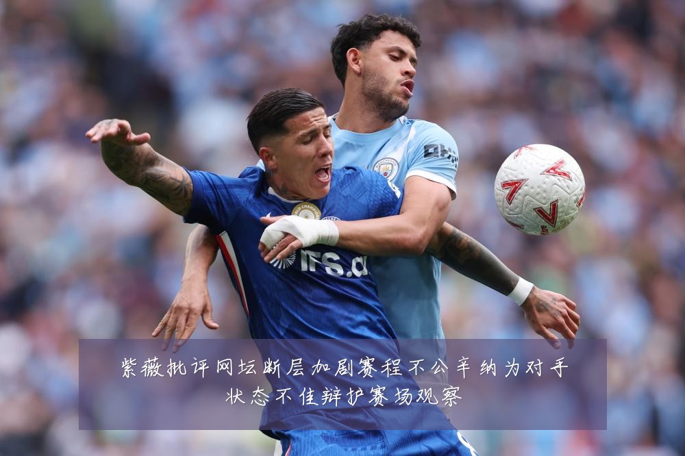 紫薇批评网坛断层加剧赛程不公辛纳为对手状态不佳辩护赛场观察