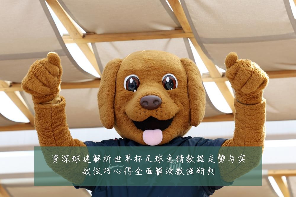 资深球迷解析世界杯足球竞猜数据走势与实战技巧心得全面解读数据研判