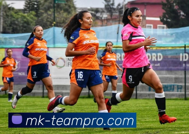 MK体育平台展示图